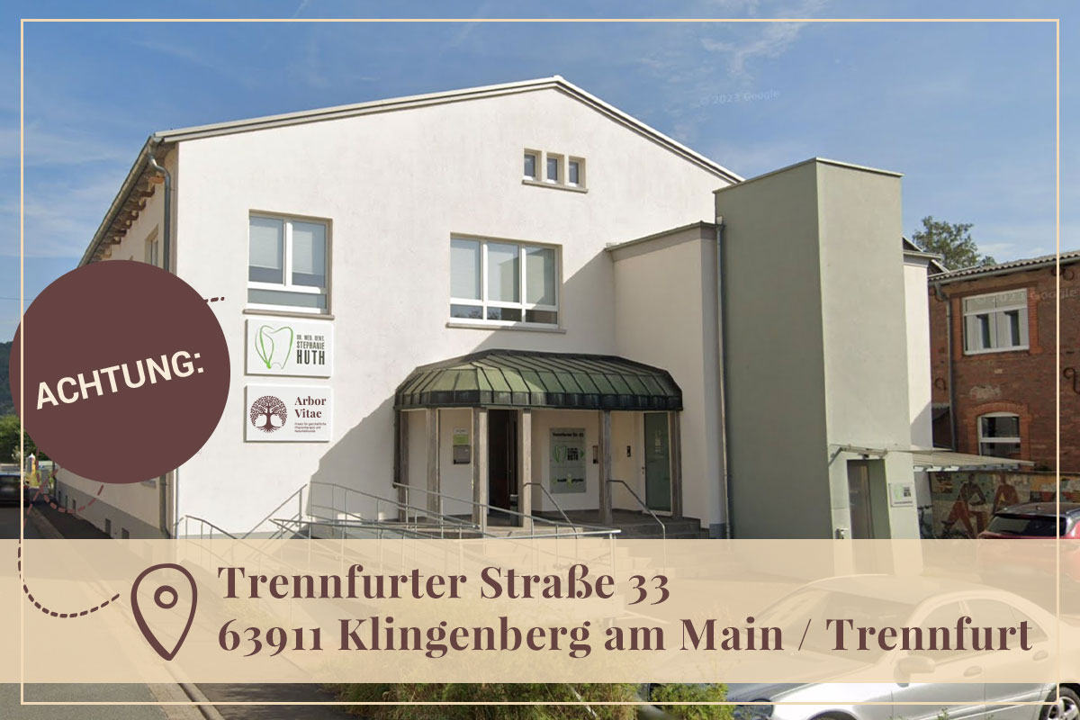 ArborVitae_Umzug-Trennfurt